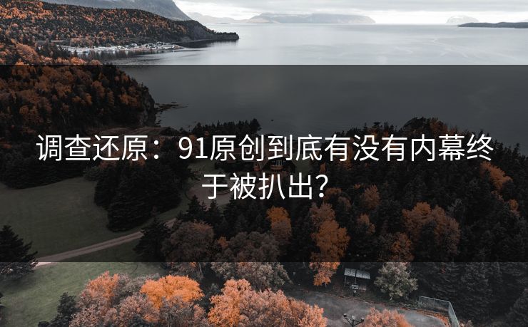 调查还原：91原创到底有没有内幕终于被扒出？
