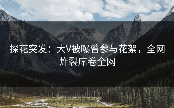 探花突发：大V被曝曾参与花絮，全网炸裂席卷全网