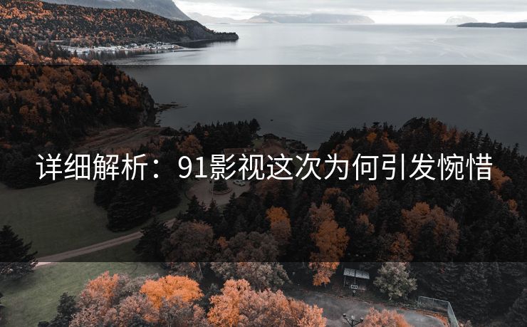 详细解析：91影视这次为何引发惋惜