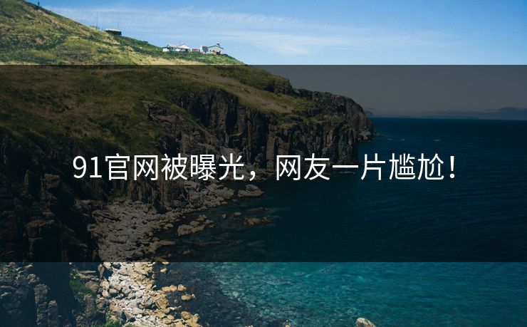 91官网被曝光，网友一片尴尬！