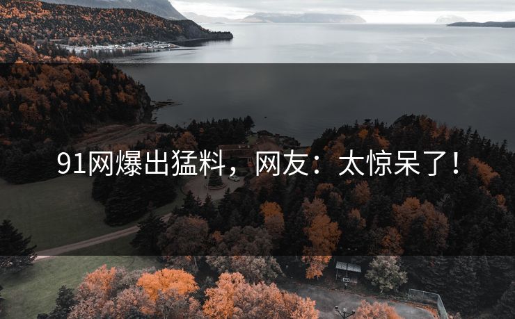91网爆出猛料，网友：太惊呆了！