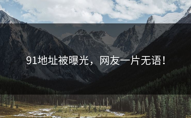 91地址被曝光，网友一片无语！