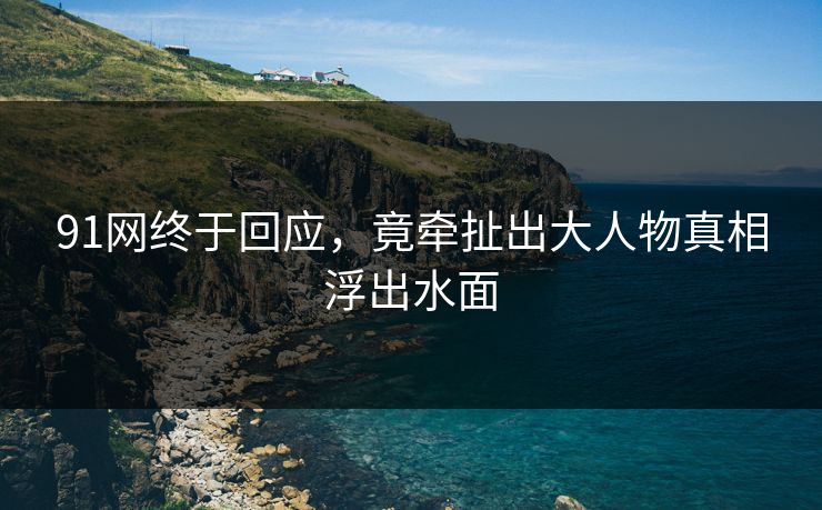 91网终于回应，竟牵扯出大人物真相浮出水面