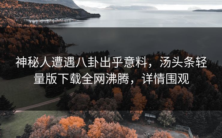 神秘人遭遇八卦出乎意料，汤头条轻量版下载全网沸腾，详情围观