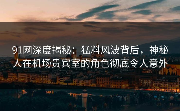 91网深度揭秘：猛料风波背后，神秘人在机场贵宾室的角色彻底令人意外