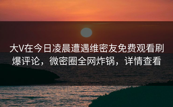 大V在今日凌晨遭遇维密友免费观看刷爆评论，微密圈全网炸锅，详情查看