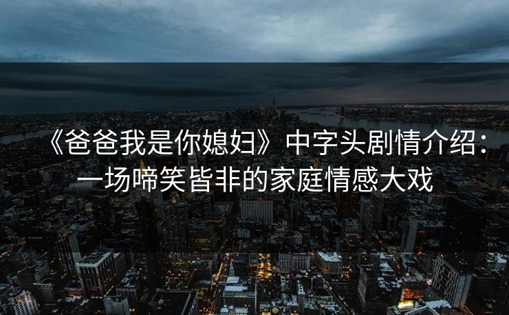 《爸爸我是你媳妇》中字头剧情介绍:一场啼笑皆非的家庭情感大戏 《爸爸我是你媳妇》中字头剧情介绍:一场啼笑皆非的家庭情感大戏