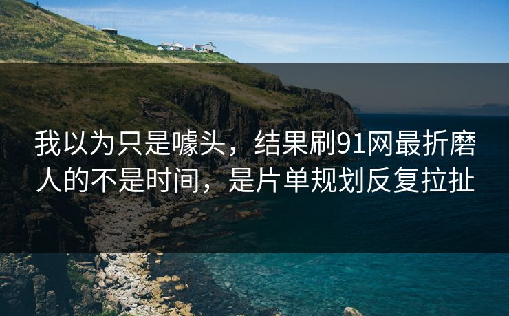 我以为只是噱头，结果刷91网最折磨人的不是时间，是片单规划反复拉扯
